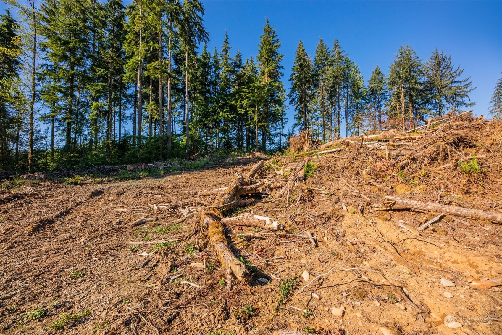 9005 Woods Creek Road Monroe, WA 98272 - Photo 14 of 36
