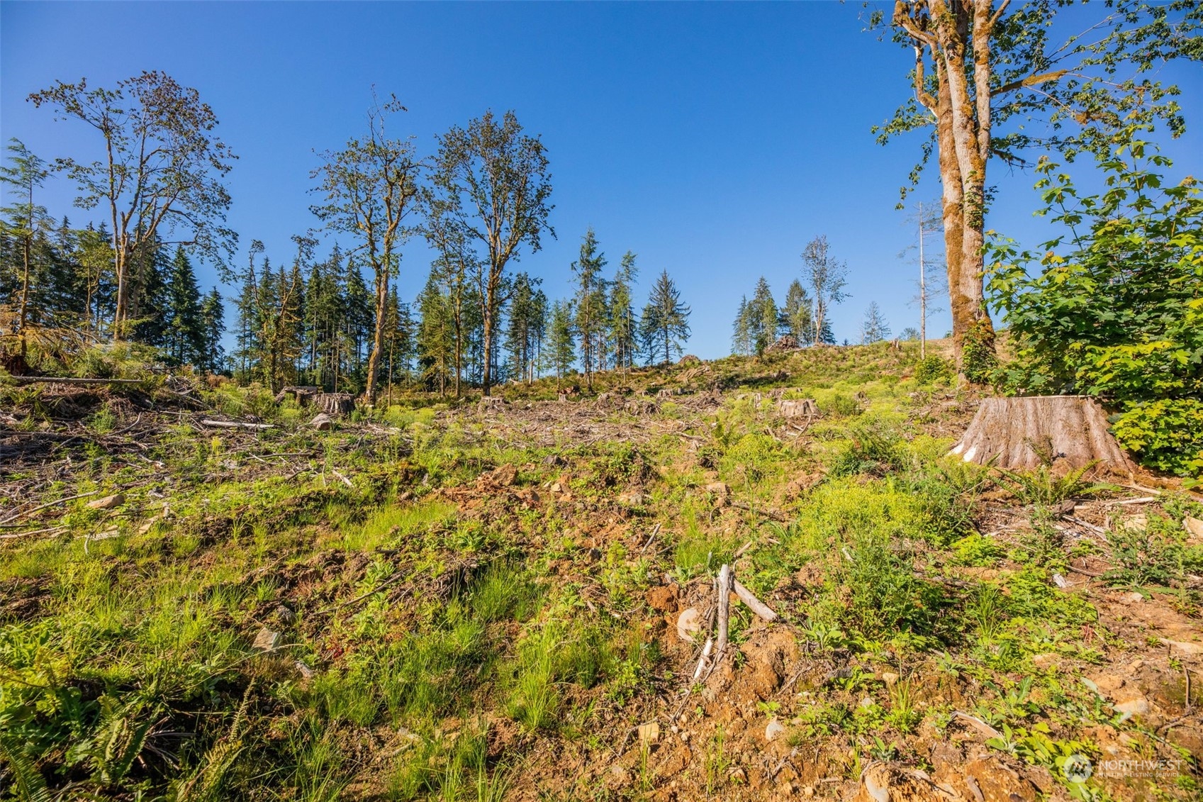 9005 Woods Creek Road Monroe, WA 98272 - Photo 15 of 36