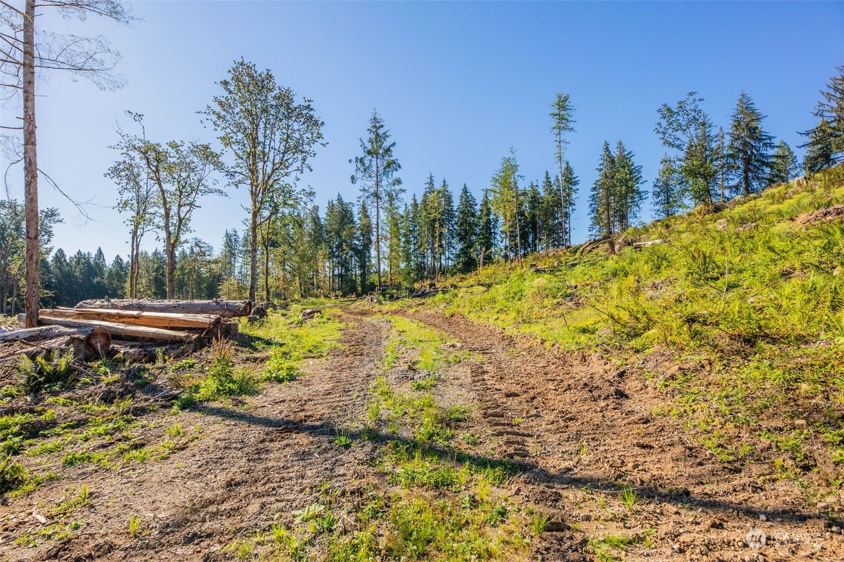 9005 Woods Creek Road Monroe, WA 98272 - Photo 8 of 36