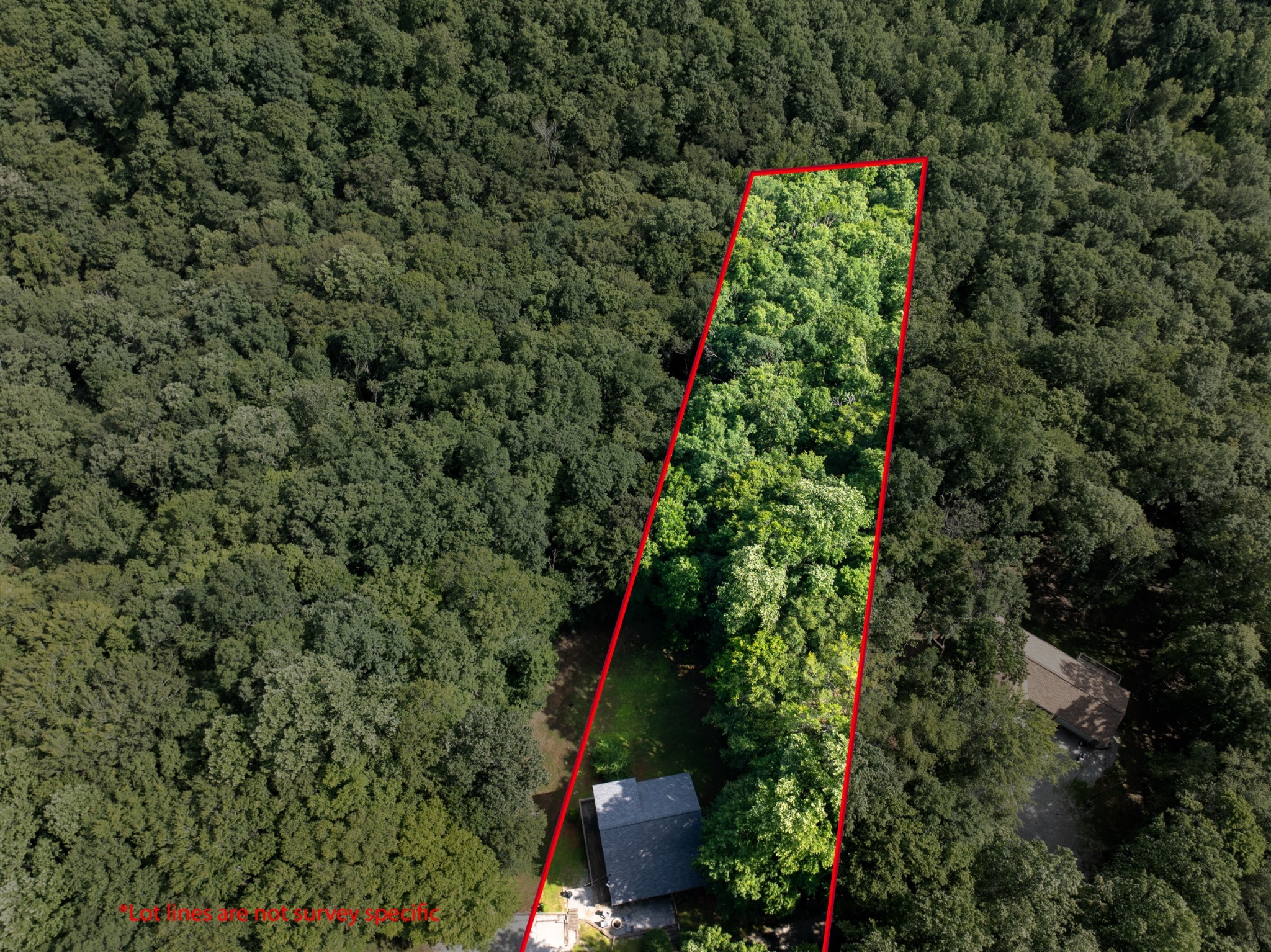 165 Kangaroo Ridge Road Byrdstown, TN 38549 - Photo 3 of 27