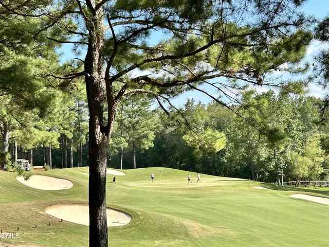 $759,900 | 916 Shasta Daisy Drive, Wake Forest, NC 27587