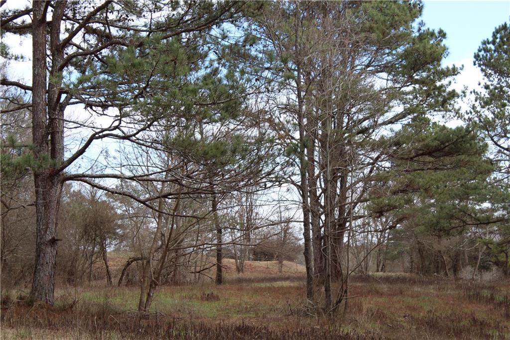 5110 Yellow Creek Road, Ball Ground, GA 30107 Compass