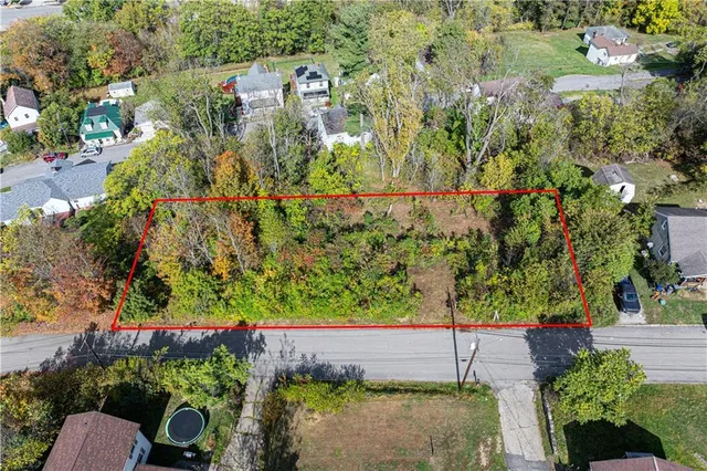 a view of a garden with flowers