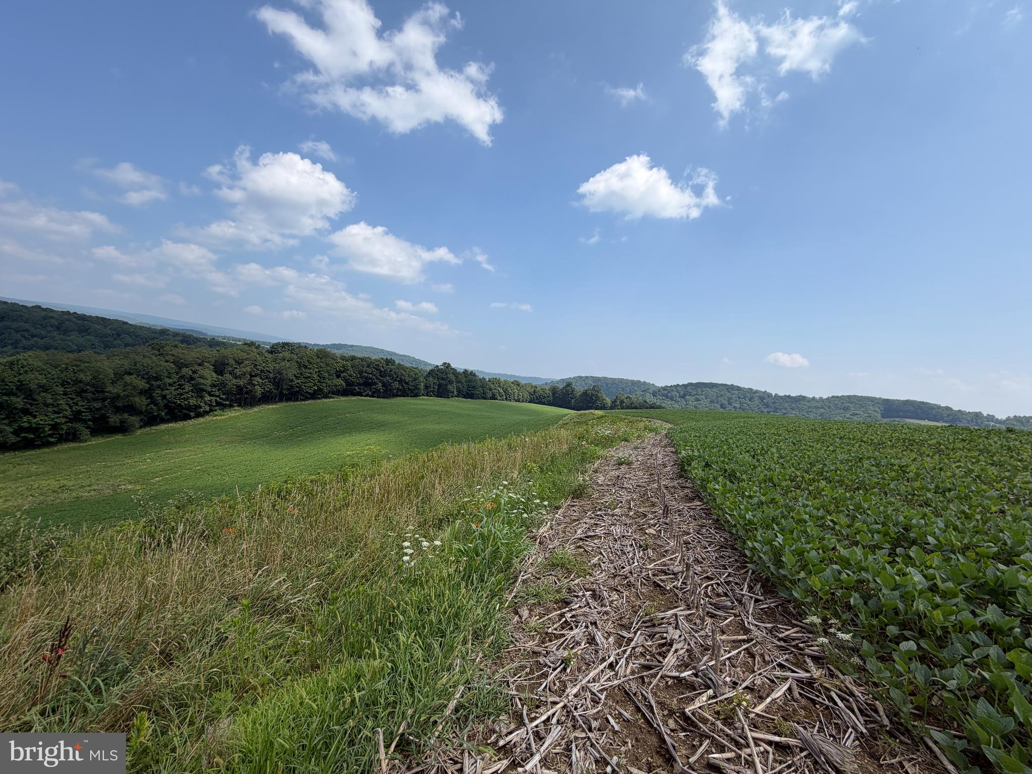 361 Caney Valley Road Markleysburg, PA 15459 - Photo 31 of 91 Gallery Image 31