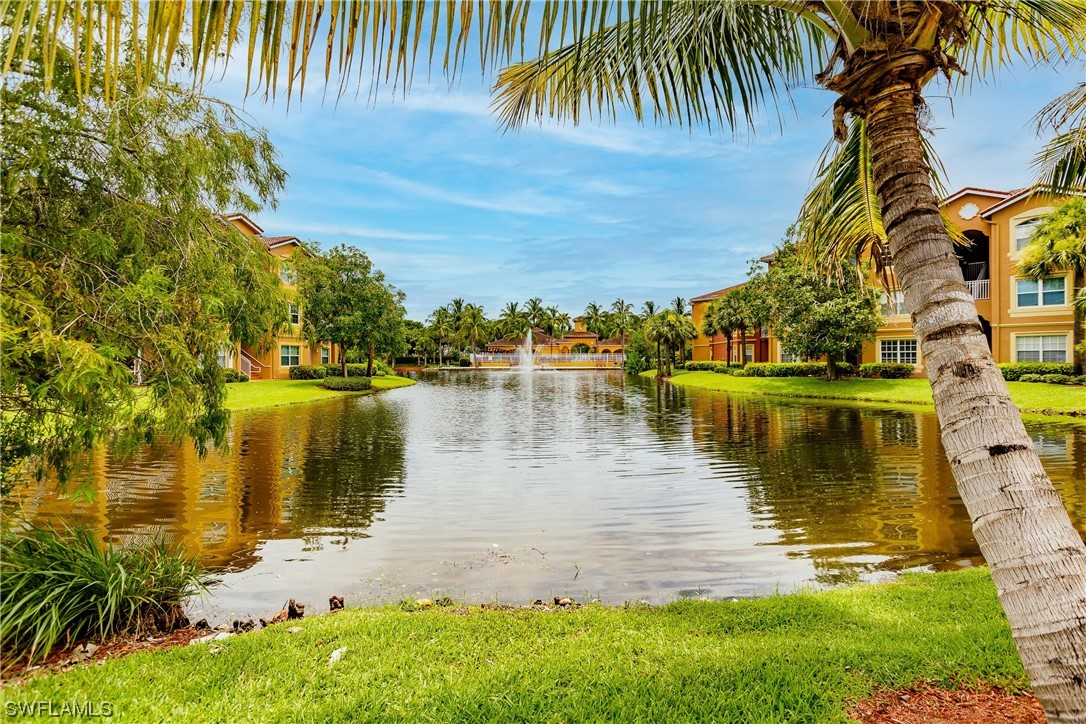 a view of a lake with a palm trees