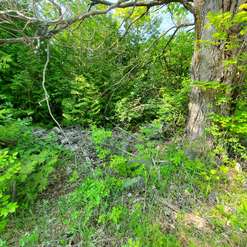 2340 German Road Baileys Harbor, WI 54202 - Photo 6 of 9