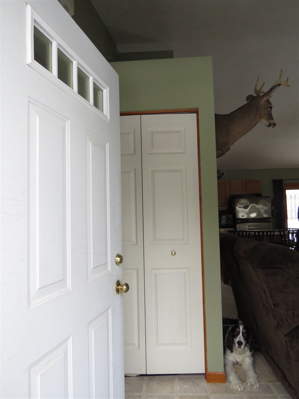 6690 Summit City Road Kingsley, MI 49649 - Photo 2 of 38 1812113-2.JPG