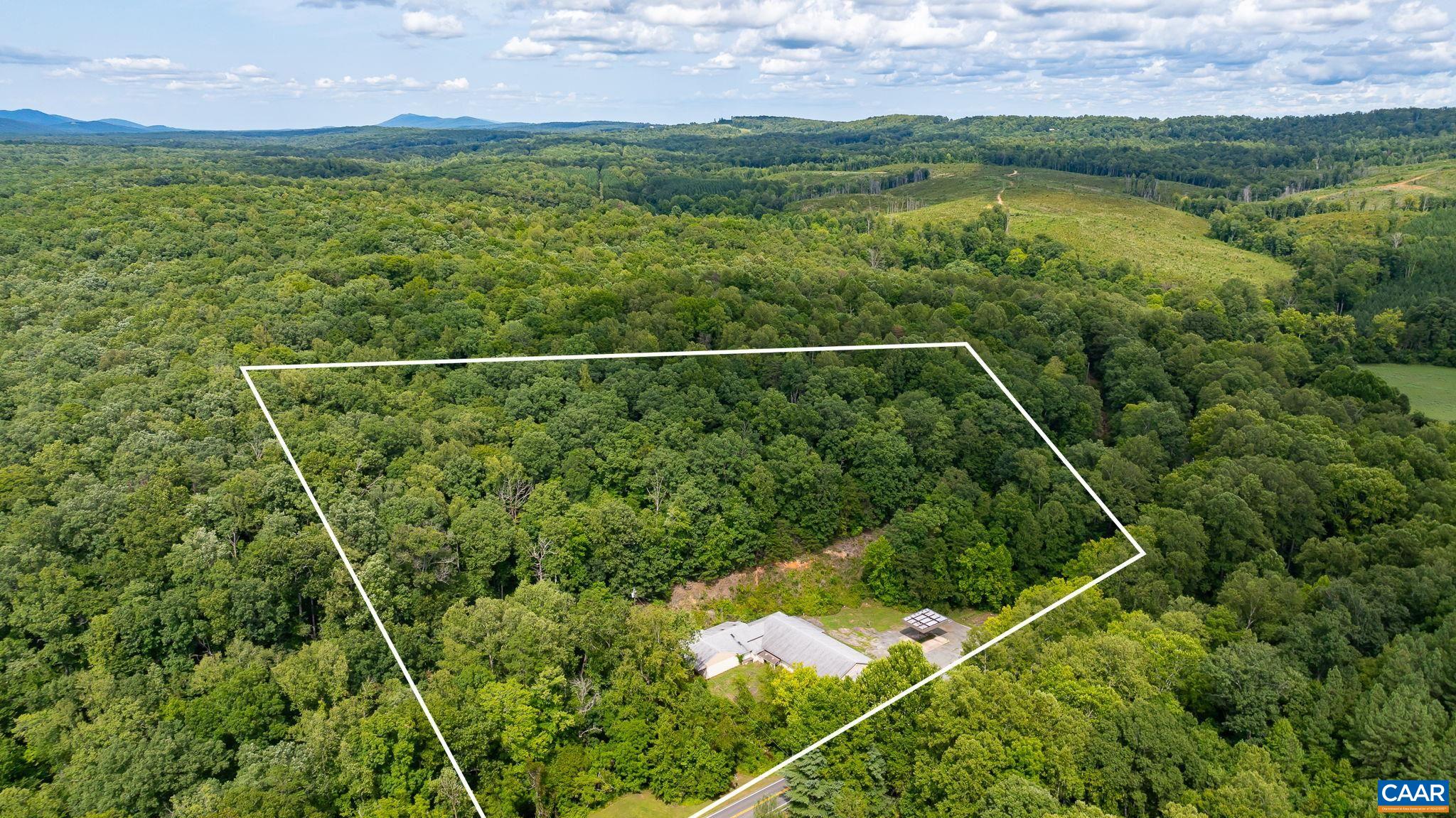 4952 Irish Road Schuyler, VA 22969 - Photo 2 of 33 a view of a lush green forest