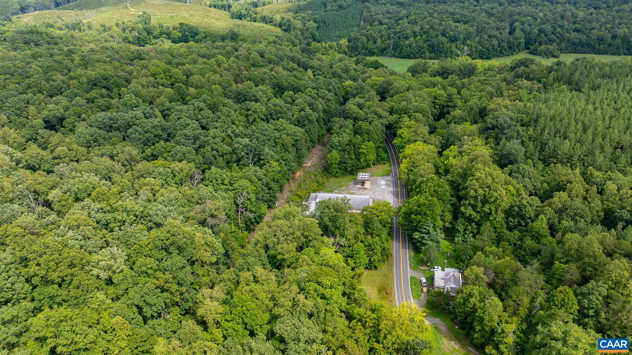 4952 Irish Road Schuyler, VA 22969 - Photo 29 of 33 a view of a forest with a houses