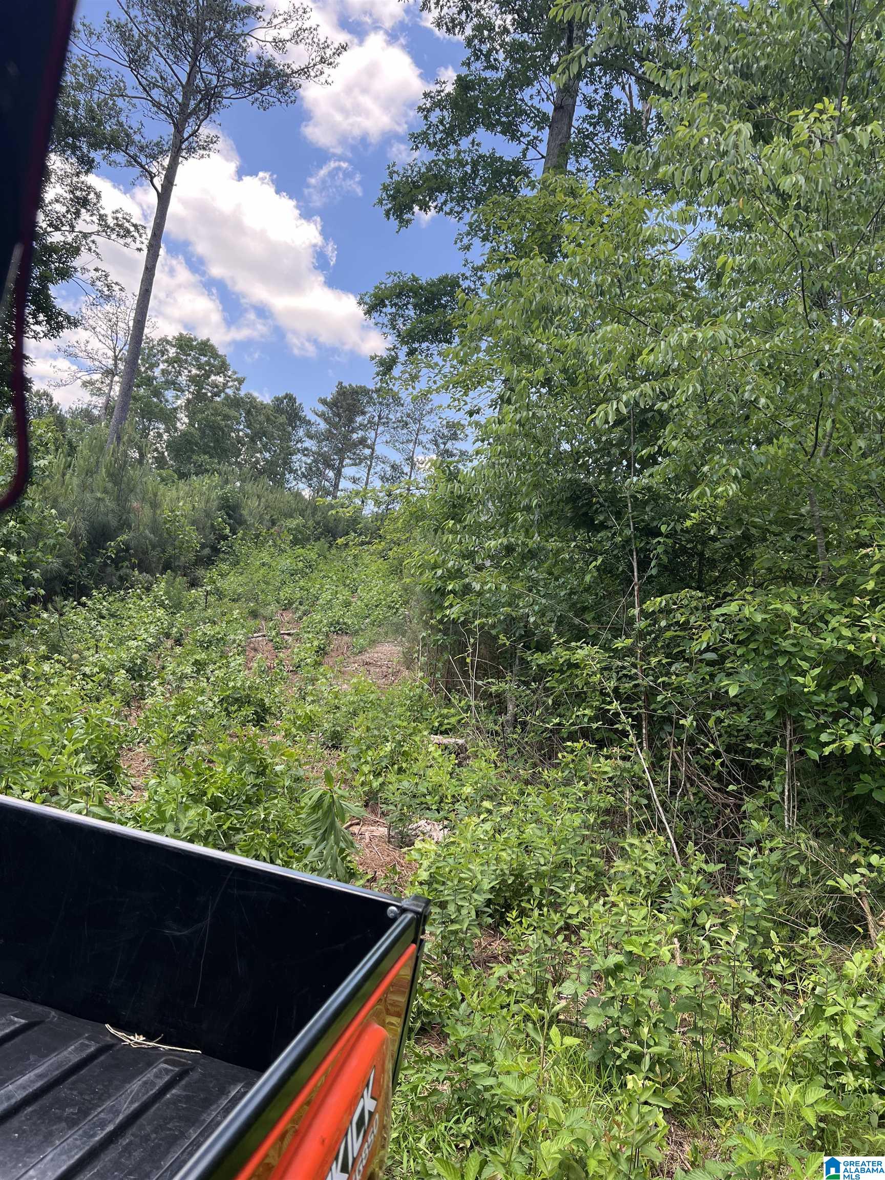 0 Altoona Cutoff Road, Unit 47 5 Oneonta, AL 35121 - Photo 35 of 36