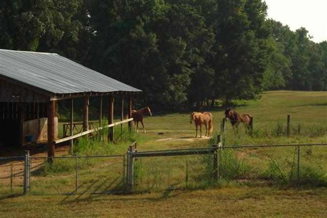 115 Outz Road Seneca, SC 29678 - Photo 3 of 8 Gallery Image 3