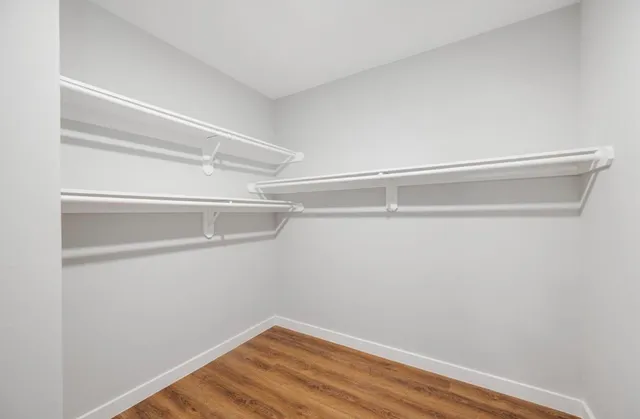 a view of an empty walk in closet