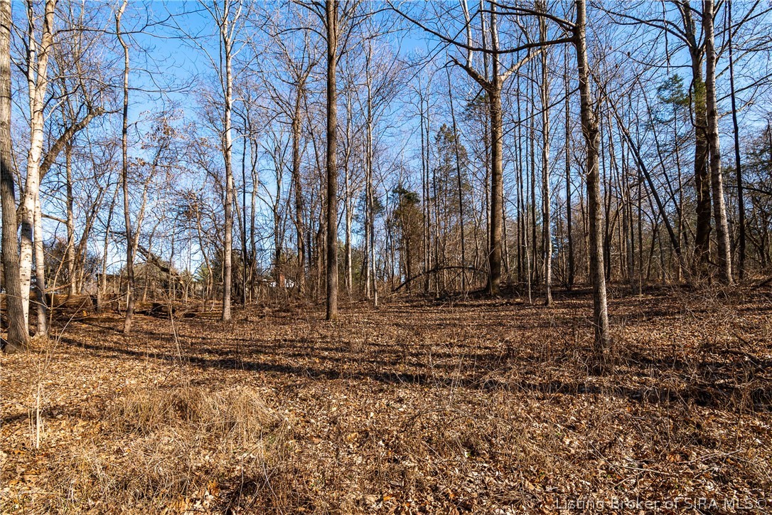 13245 Buffalo Trace Road Palmyra, IN 47164 - Photo 12 of 42