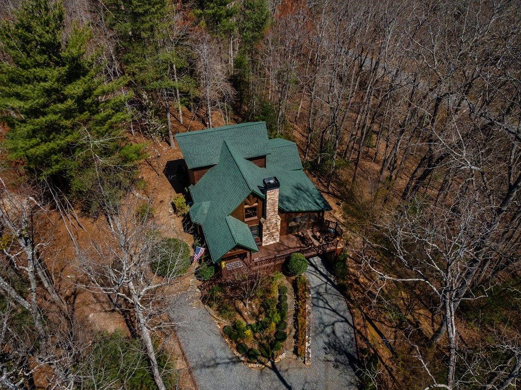 170 Lakota Trail Blue Ridge, GA 30513 - Photo 60 of 75 Gallery Image 60