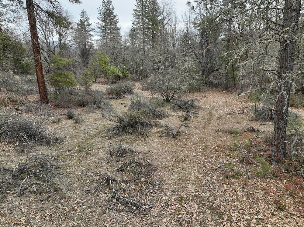 0 Queens Branch Road Rogue River, OR 97537 - Photo 28 of 36 28