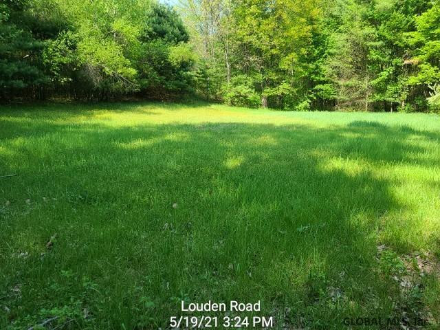 157 Louden Road Wilton, NY 12866 - Photo 18 of 19 Photo 18