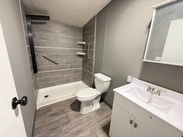 a bathroom with a sink toilet a shower and a mirror