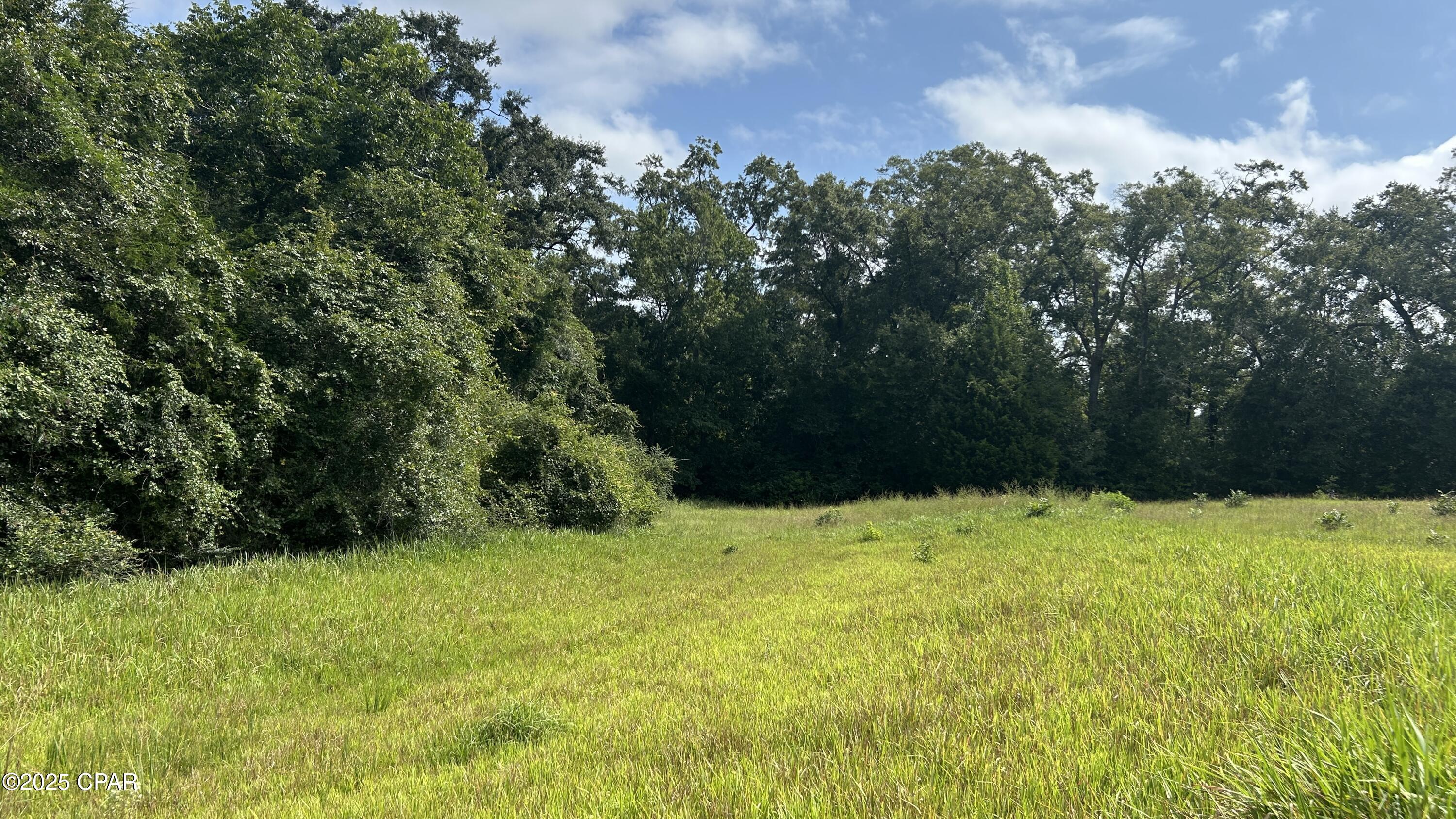 0 Commander Road Westville, FL 32464 - Photo 24 of 26