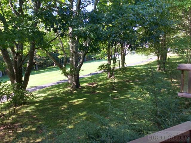107 Old Field Road Beech Mountain, NC 28604 - Photo 19 of 28