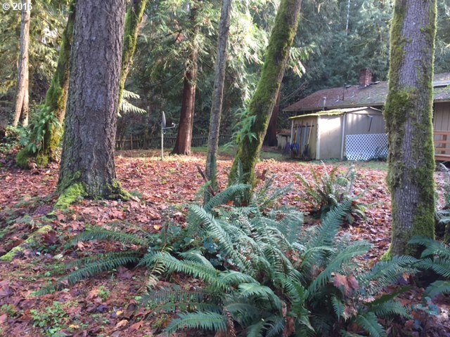 64437 East Barlow Trail Road Rhododendron, OR 97049 - Photo 11 of 15 a view of a backyard with plants and large trees