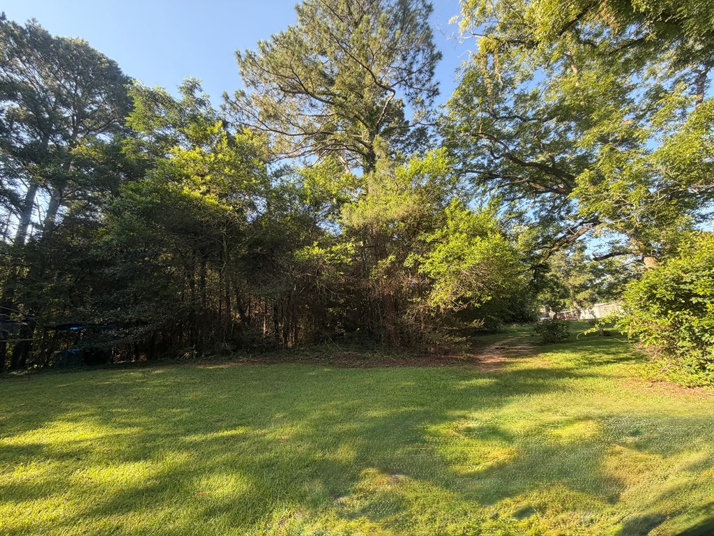 1 Nichols Road Pinckard, AL 36350 - Photo 16 of 29