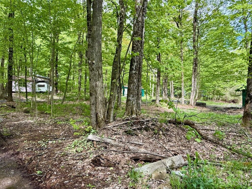 25 Little America Road Richland, NY 13144 - Photo 3 of 9