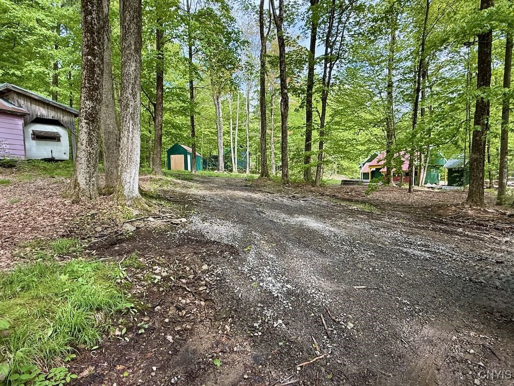 25 Little America Road Richland, NY 13144 - Photo 6 of 9