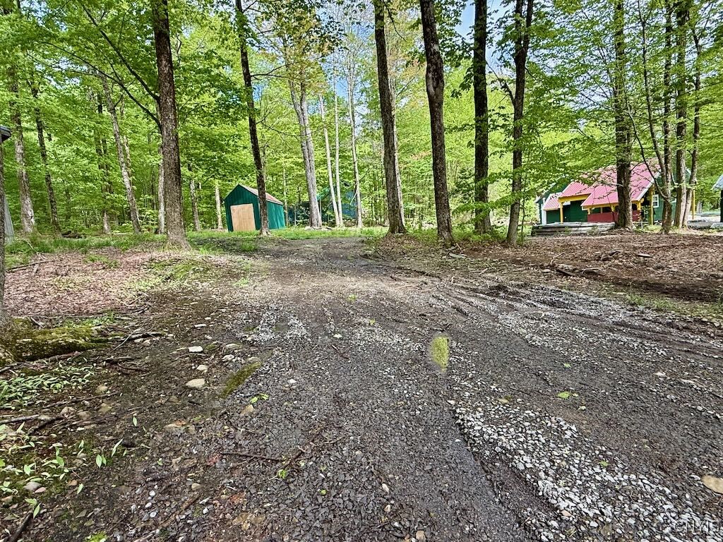 25 Little America Road Richland, NY 13144 - Photo 7 of 9