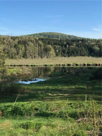 $229,900 | 271 Mountain Home Road, Morehouse, NY 13353