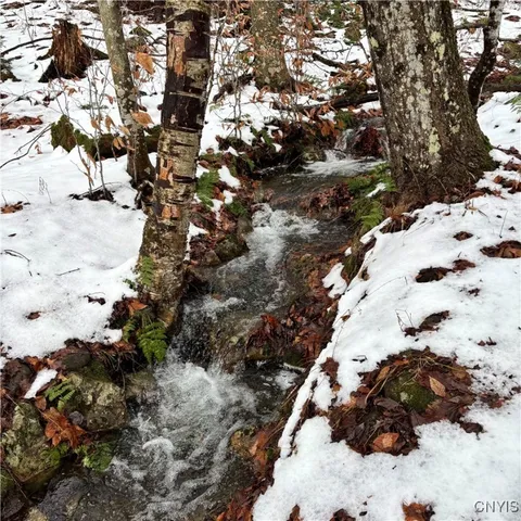 $229,900 | 271 Mountain Home Road, Morehouse, NY 13353