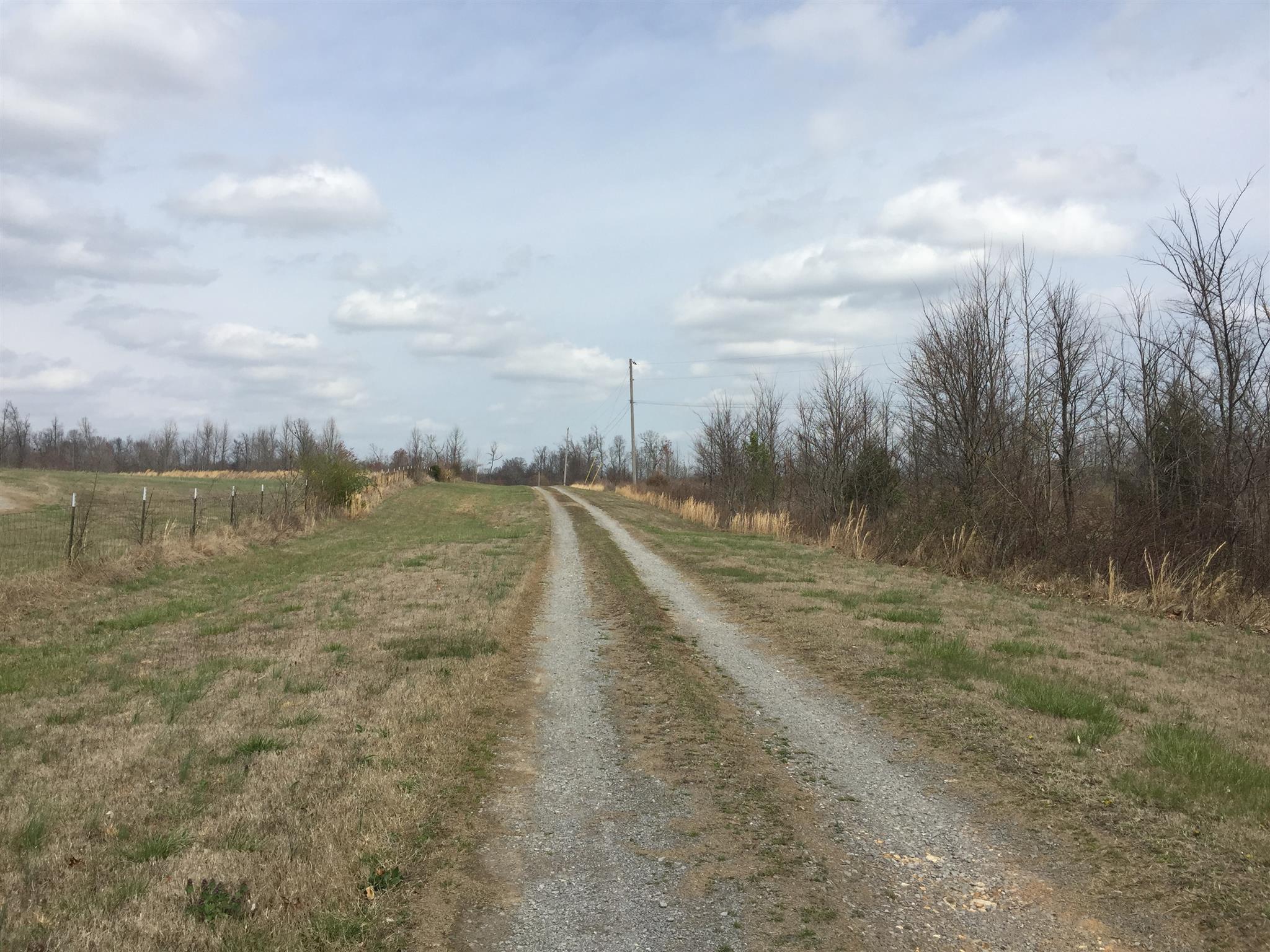 1393 Poplar Ridge Road Chapmansboro, TN 37035 - Photo 2 of 18 Very private , can not be seen from the road