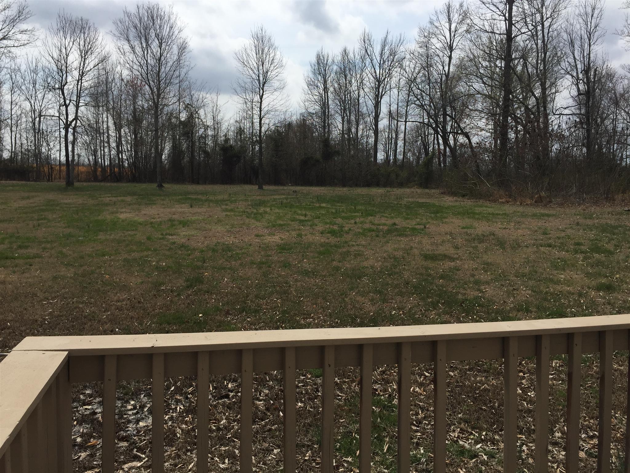 1393 Poplar Ridge Road Chapmansboro, TN 37035 - Photo 3 of 18 view from front porch