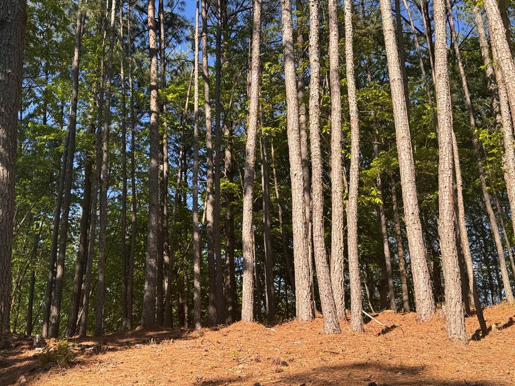 Lot 4 Grassy Creek Road Copperhill, TN 37317 - Photo 18 of 25 a view of wooden balcony
