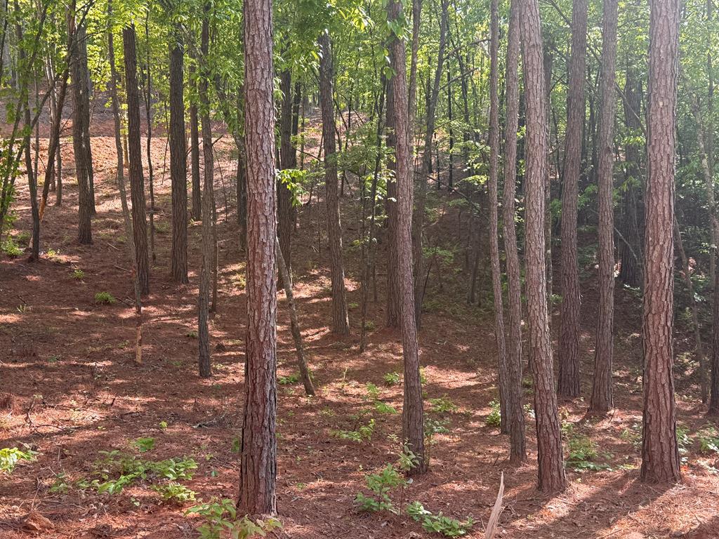 Lot 4 Grassy Creek Road Copperhill, TN 37317 - Photo 19 of 25 a view of a outdoor space with street view