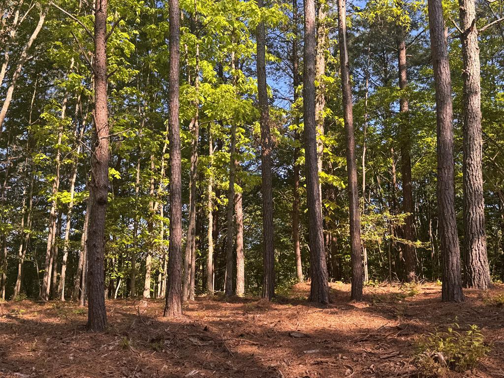 Lot 4 Grassy Creek Road Copperhill, TN 37317 - Photo 20 of 25 not sure