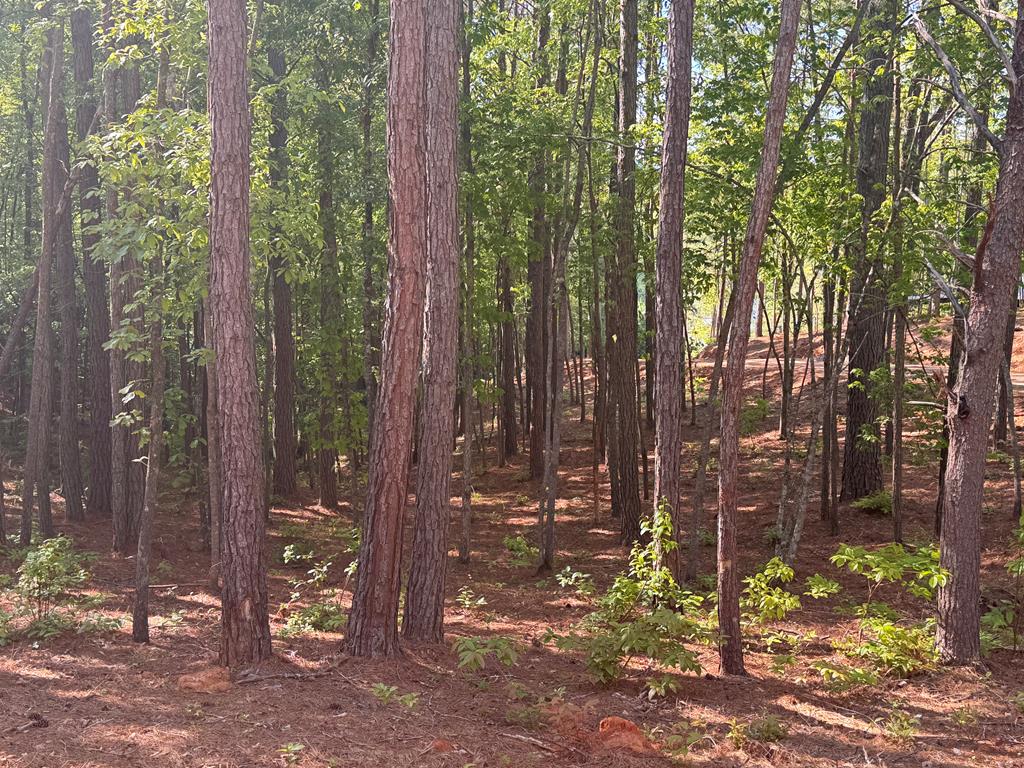 Lot 4 Grassy Creek Road Copperhill, TN 37317 - Photo 21 of 25 a view of a forest
