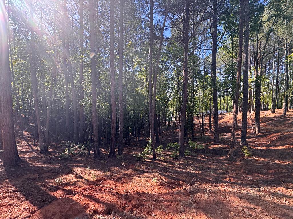 Lot 4 Grassy Creek Road Copperhill, TN 37317 - Photo 22 of 25 a view of outdoor space with lots of trees