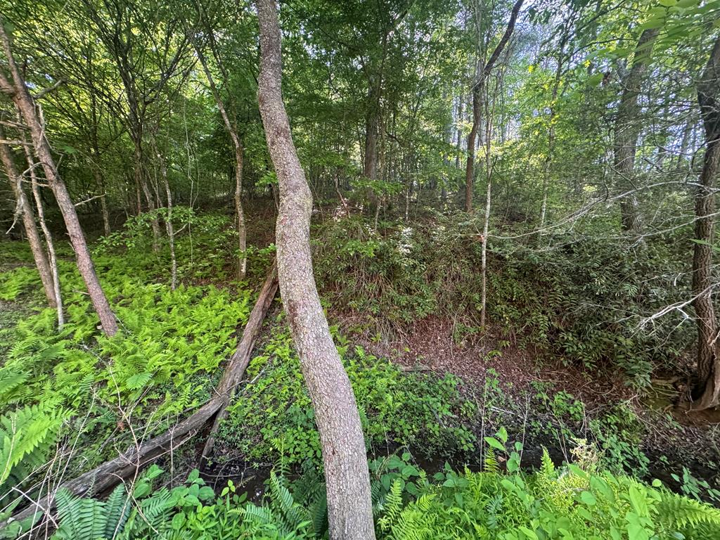 Lot 4 Grassy Creek Road Copperhill, TN 37317 - Photo 23 of 25 a view of outdoor space and garden