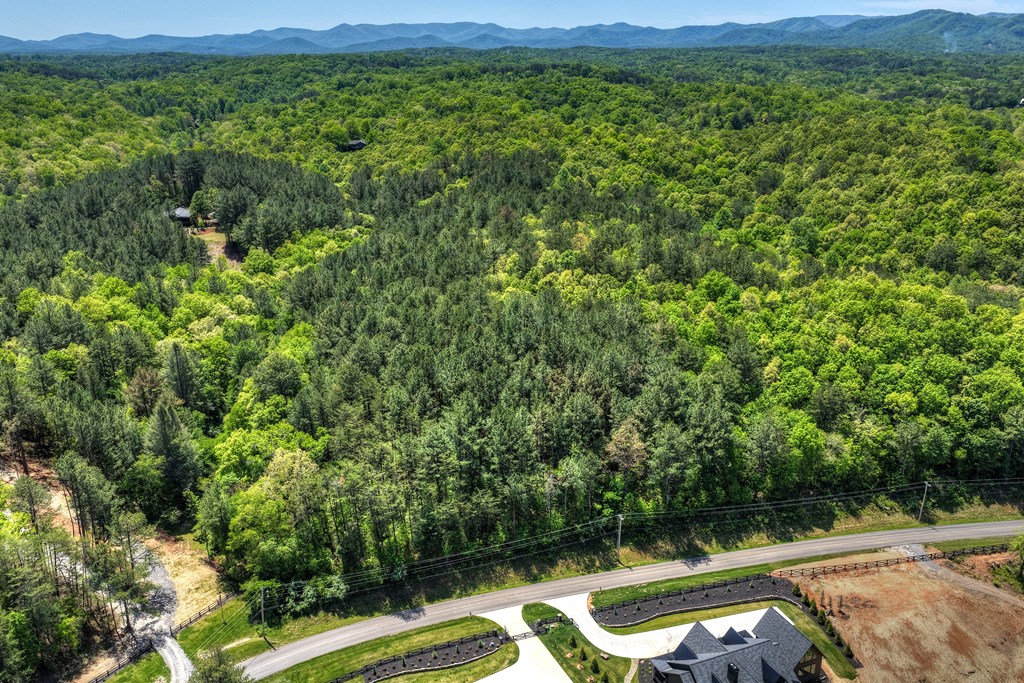 Lot 4 Grassy Creek Road Copperhill, TN 37317 - Photo 3 of 25 a view of a lush green field with lots of bushes