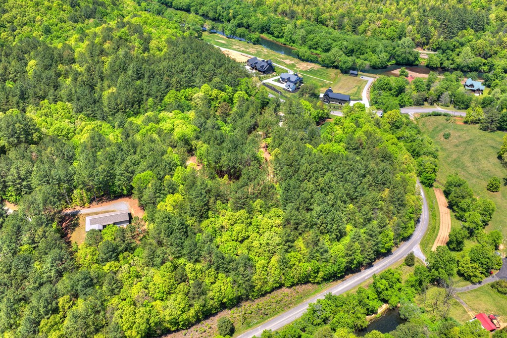 Lot 4 Grassy Creek Road Copperhill, TN 37317 - Photo 4 of 25 a view of a garden
