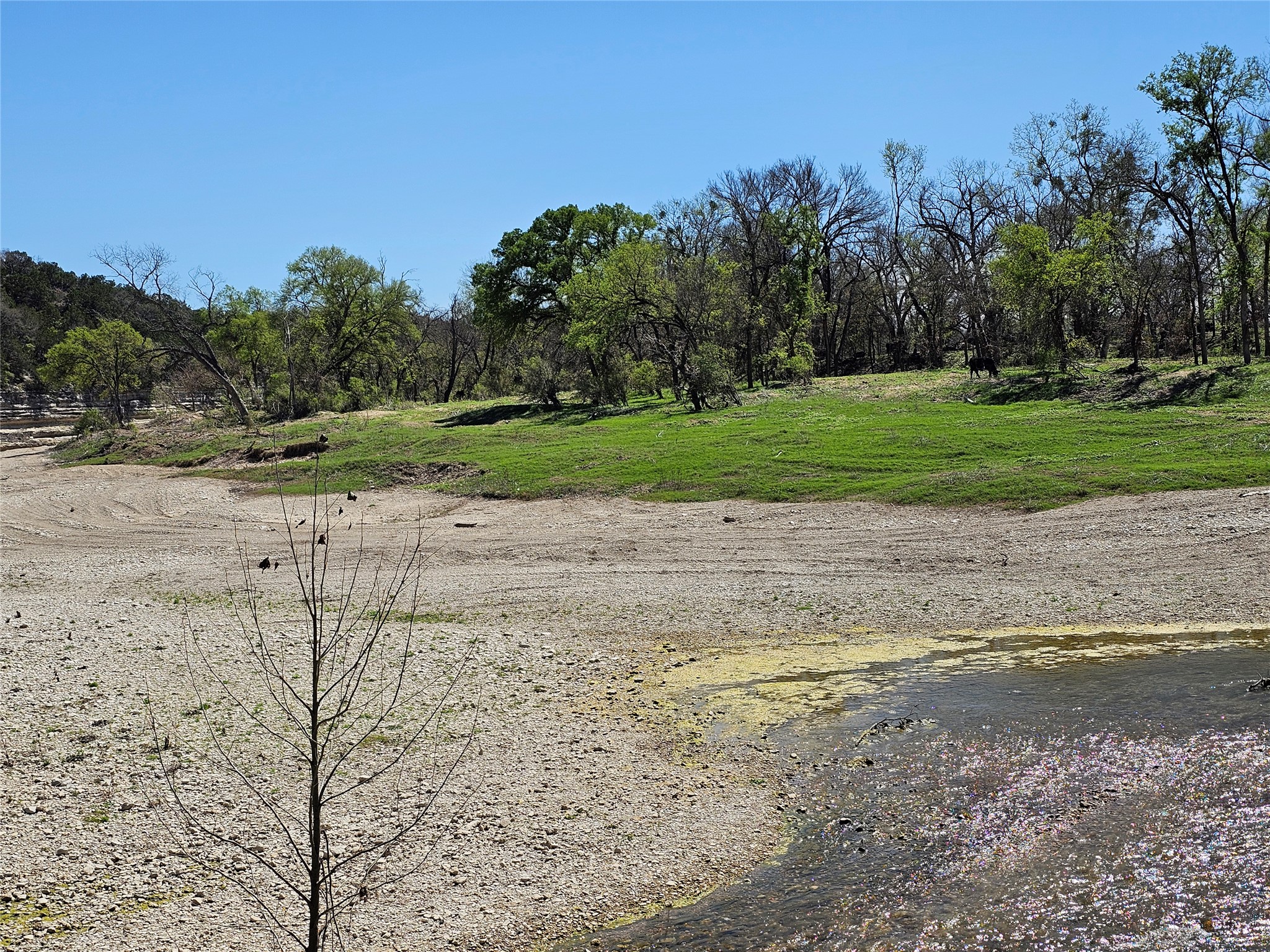 0 Cattle Trail Drive Kempner, TX 76539 - Photo 13 of 16 View of Lampasas River