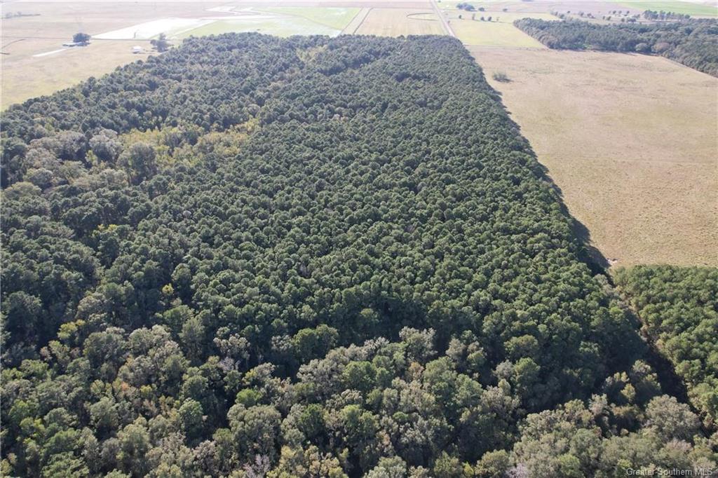 0 Tbd Bert Road Jennings, LA 70546 - Photo 5 of 5