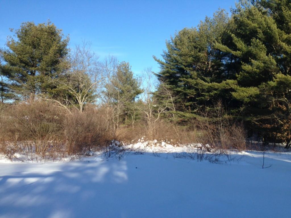 53 Sheepscot Road Newcastle, ME 04553 - Photo 2 of 3 Photo