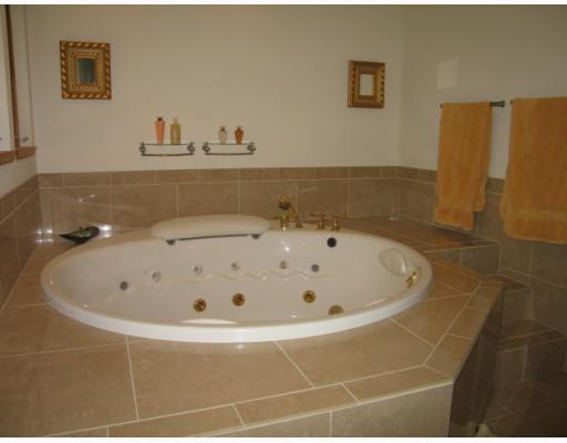 435 Sanitarium Road Washington, PA 15301 - Photo 11 of 18 Master Bath/Spa.