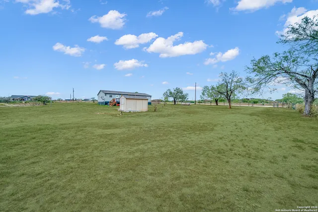 a view of a grassy field with an trees
