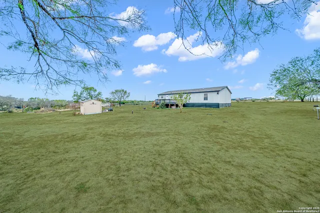 a view of a yard with a tree