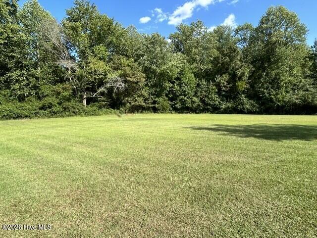 11675 Straight Gate Road Whitakers, NC 27891 - Photo 4 of 25 Clear and Manicured