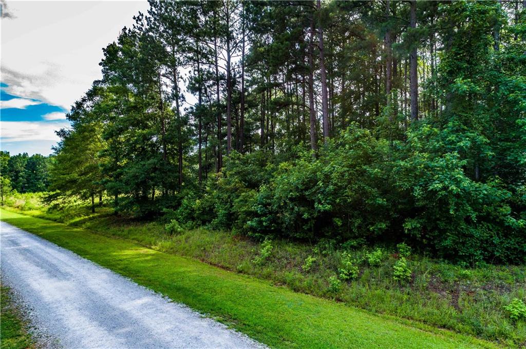 520 River View Road Covington, GA 30014 - Photo 2 of 7