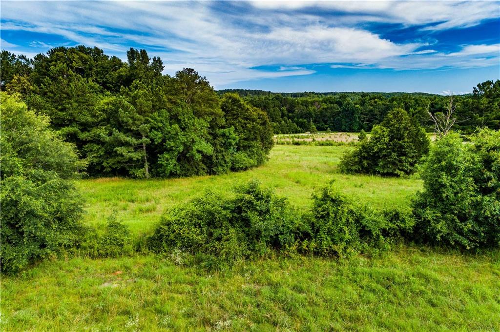 520 River View Road Covington, GA 30014 - Photo 4 of 7