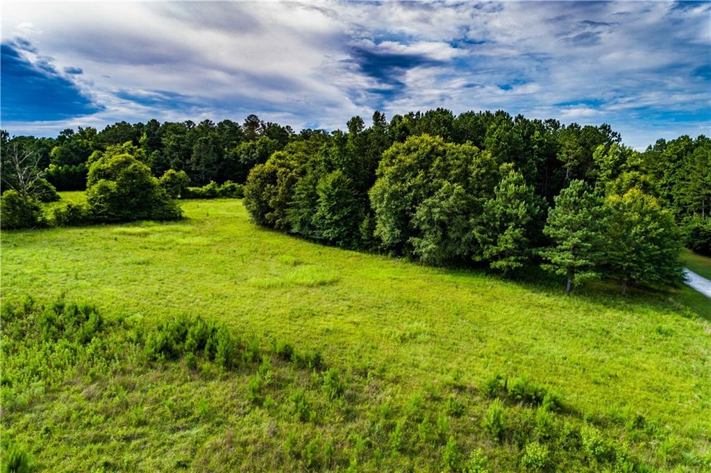 520 River View Road Covington, GA 30014 - Photo 6 of 7